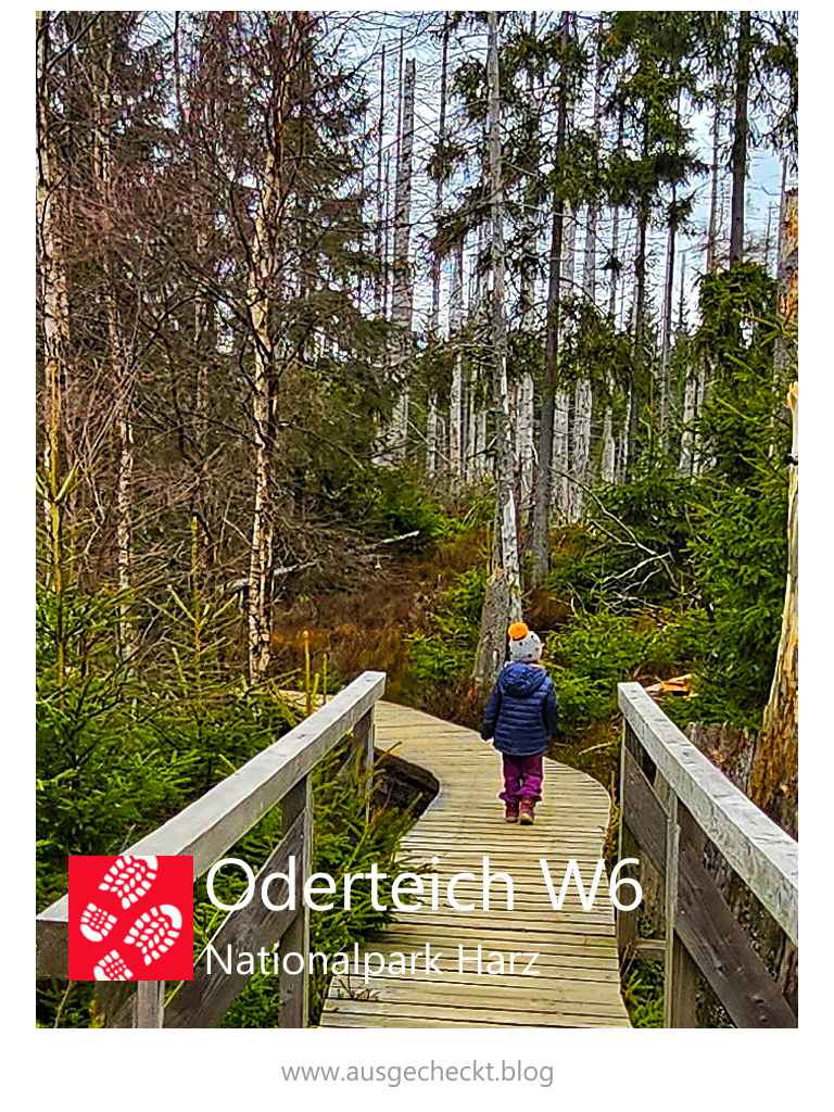 Familientaugliche-Rundwanderung-Oderteich-W6-Nationalpark-Harz-Ausflugstipp