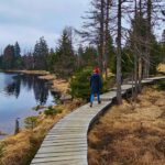 Wandern im Harz: Wanderweg W6 Oderteich – Eine entspannte Tour für die ganze Familie