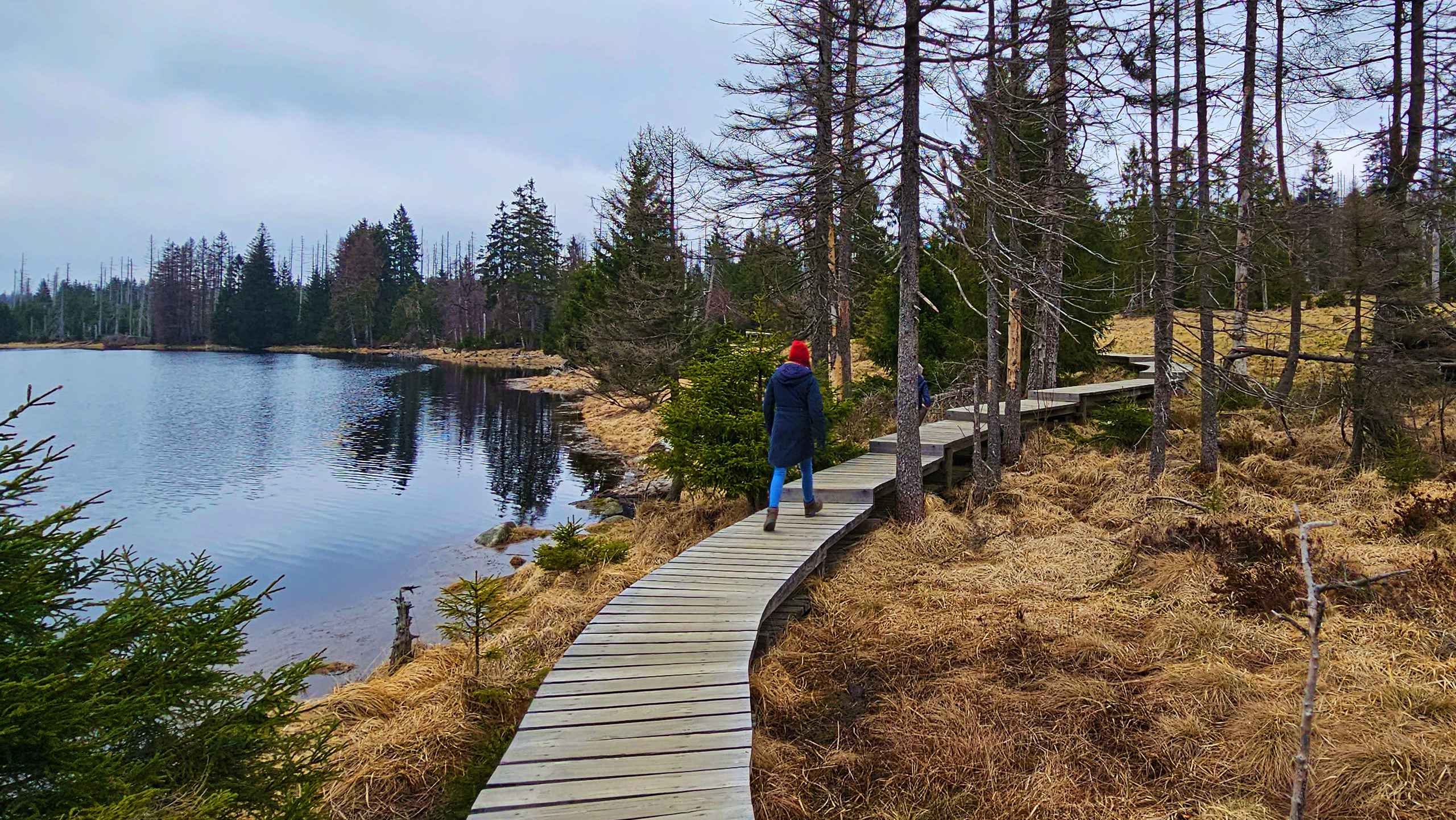 Wandern im Harz: Wanderweg W6 Oderteich – Eine entspannte Tour für die ganze Familie